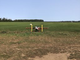 2023 Fun Flies
